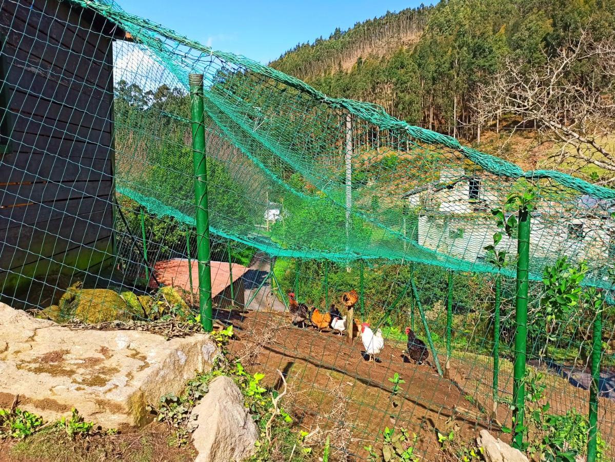 Casa Carmelo Villa Viveiro Dış mekan fotoğraf